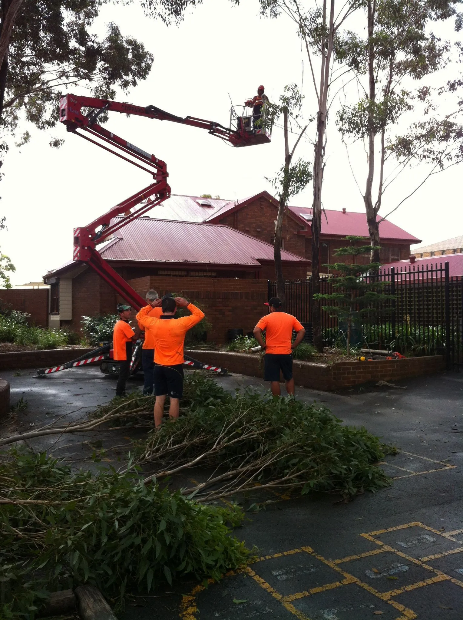 Above All crew pruning a tree beside a brick home from an elevated work platform